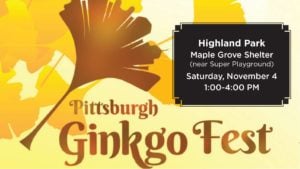 gingkofest_image